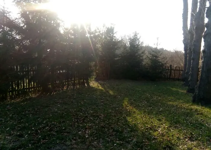 Pod Lipami * Junoszyno